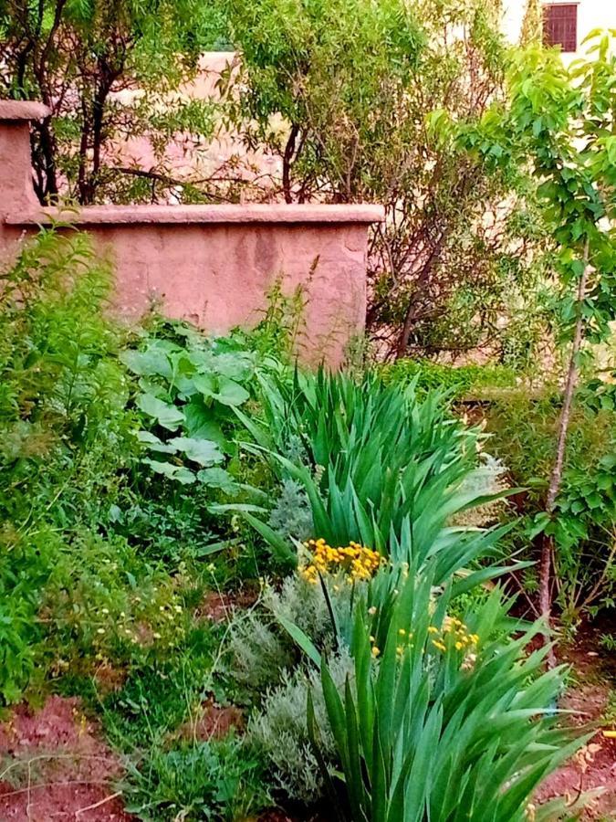 Toubkal Ecolodge Imlil  Exterior foto